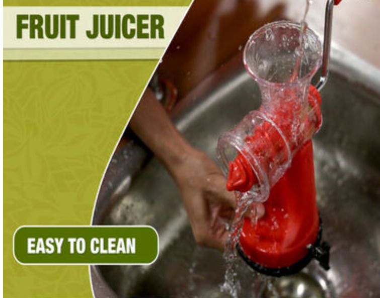 Fruit Juicer