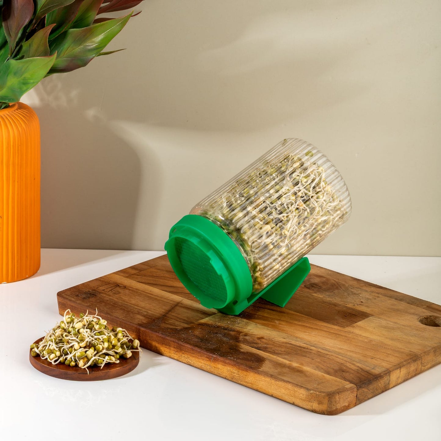 Sprout Maker Jar with Stand 🌱 – Buy 1 Get 1 FREE | Easy Home Sprouting