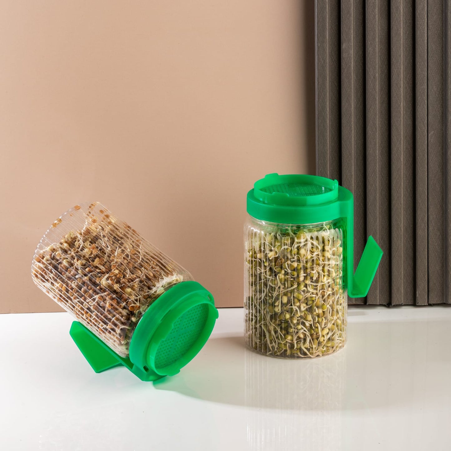 Sprout Maker Jar with Stand 🌱 – Buy 1 Get 1 FREE | Easy Home Sprouting