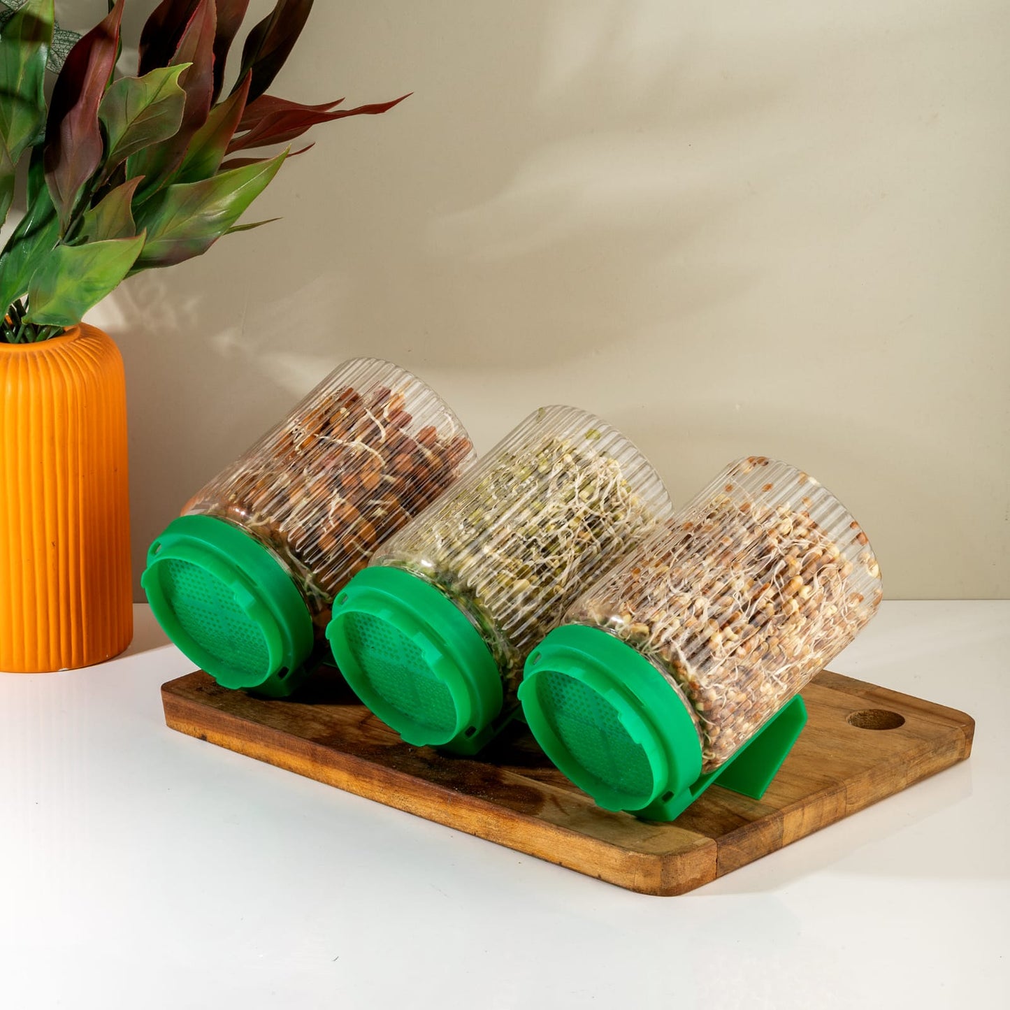 Sprout Maker Jar with Stand 🌱 – Buy 1 Get 1 FREE | Easy Home Sprouting