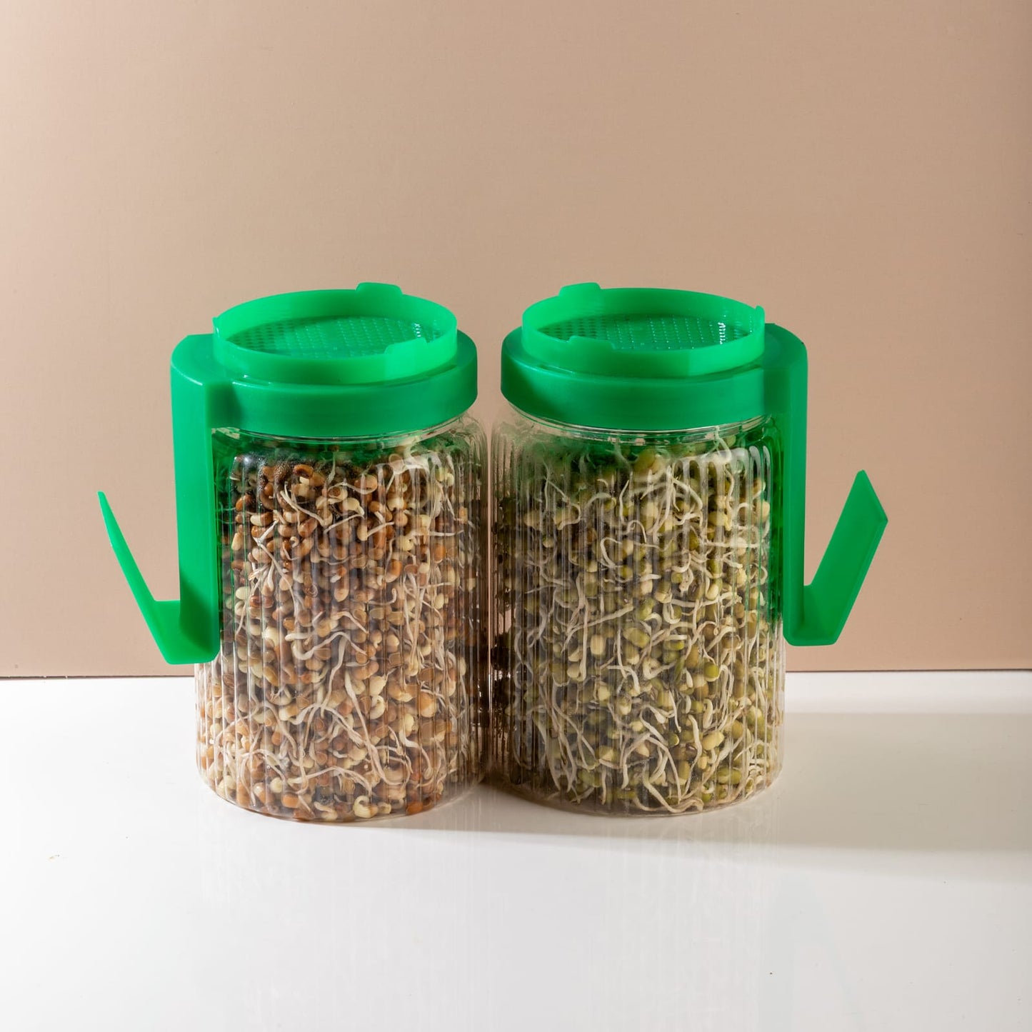 Sprout Maker Jar with Stand 🌱 – Buy 1 Get 1 FREE | Easy Home Sprouting